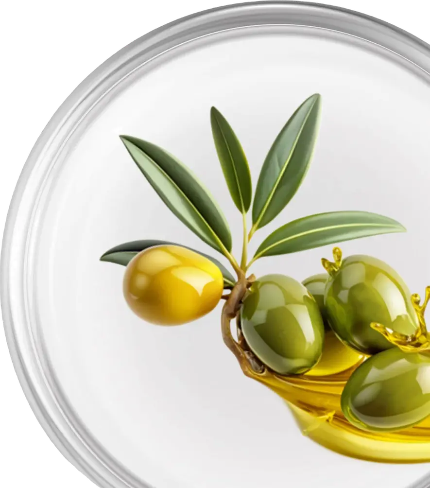 Chamomile Extract