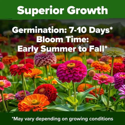 🔥Zinnia Seeds - Pure Seeds - No Filler - Heirloom Flower Seeds