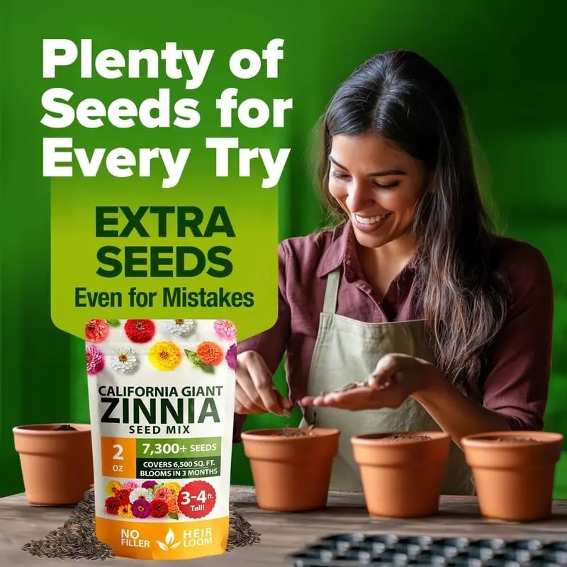 🔥Zinnia Seeds - Pure Seeds - No Filler - Heirloom Flower Seeds