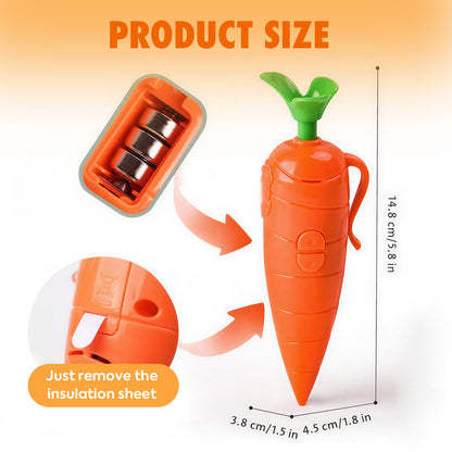 🥕🥕 Carrot That Talks: 60-Second Voice-Recording Magic Pen