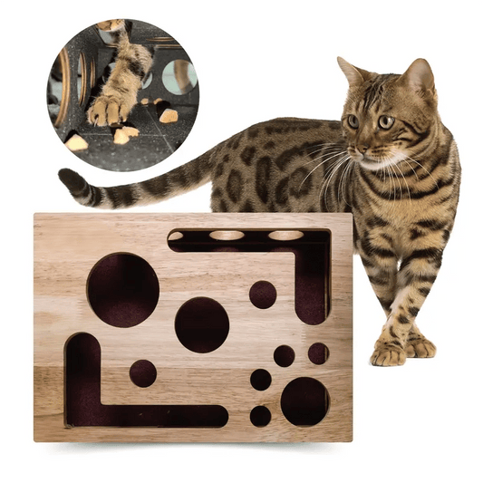 🎁😻✨Cat Scratch Puzzle Enrichment Box: Nail File Stress Free Alternative to Clippers and Grinders