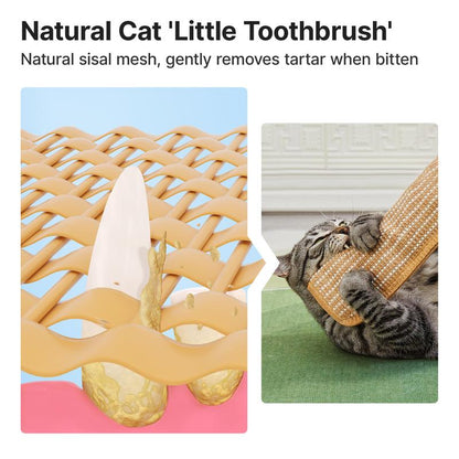 🐱Interactive Catnip Chew Toy