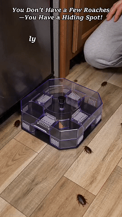 Zorveko Reusable Roach Trap with One-Way Entry Doors 11