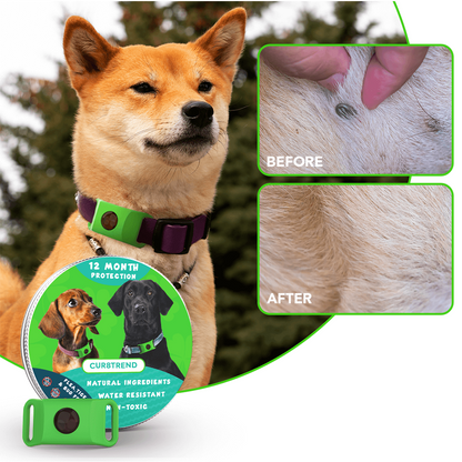 Dog Tag Pendant – Flea & Tick Prevention, Waterproof & Safe for All Breeds