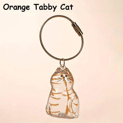 🐾Pet Hair Memorial Capsule Keychain