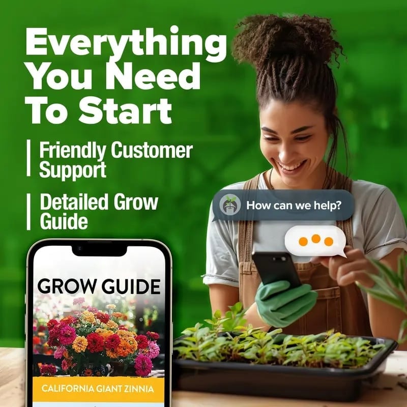 🔥Zinnia Seeds - Pure Seeds - No Filler - Heirloom Flower Seeds