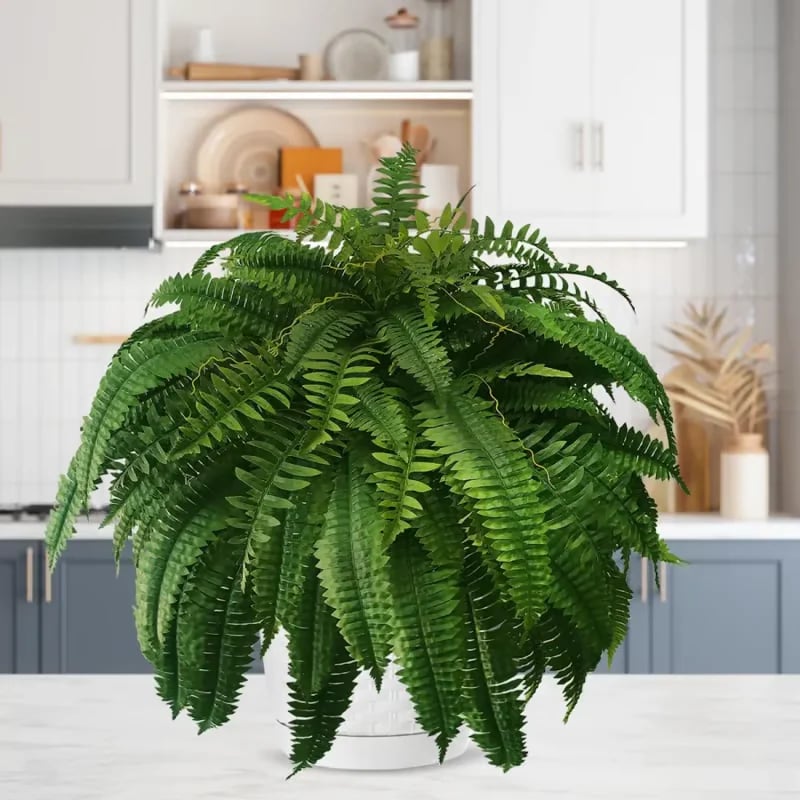 🌿UV Resistant Lifelike Artificial Boston Fern