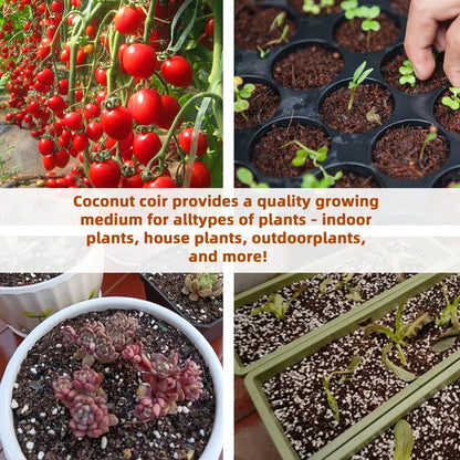 🌱Premium Organic Coconut Coir Bricks for Plants