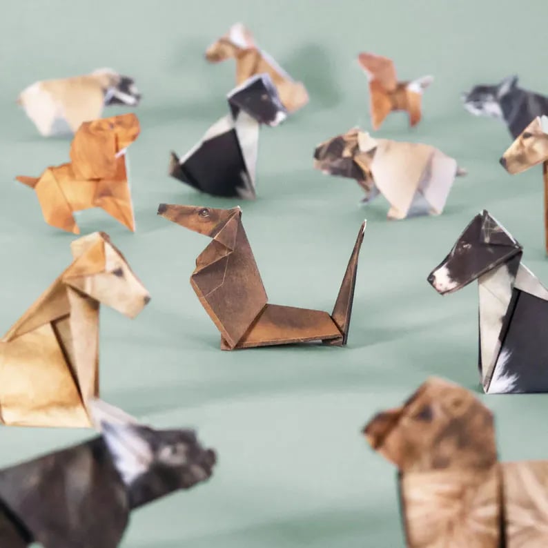 😻✨Easy DIY Paper Cats Kit | Guided Lines & Instructions Included 🎁Buy More Save More