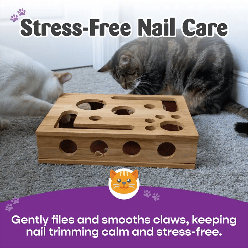 🎁😻✨Cat Scratch Puzzle Enrichment Box: Nail File Stress Free Alternative to Clippers and Grinders
