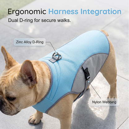 Zorveko Dog Cooling Vest Harness For Summer – perfect for walks, beach or travel 5