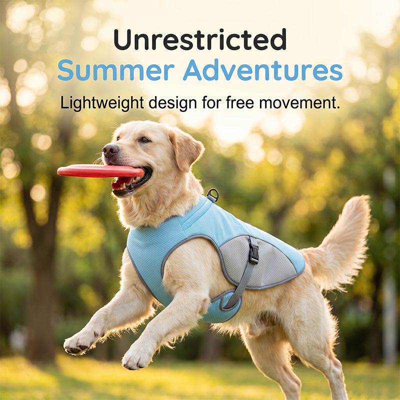 Zorveko Dog Cooling Vest Harness For Summer – perfect for walks, beach or travel 7