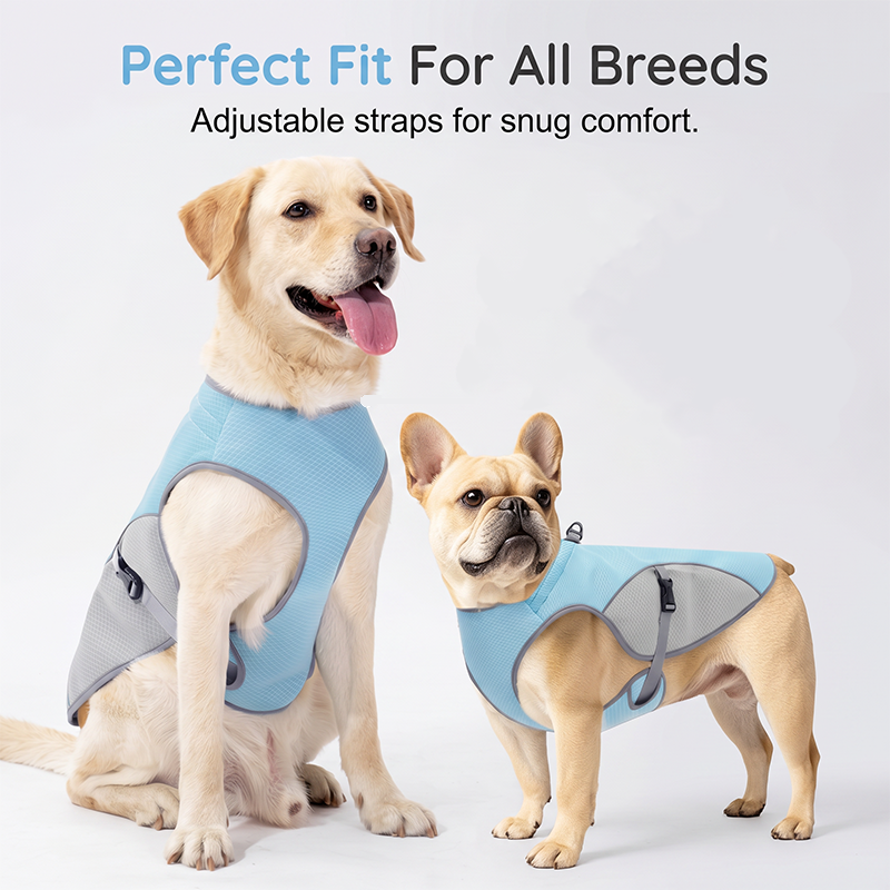 Zorveko Dog Cooling Vest Harness For Summer – perfect for walks, beach or travel 8