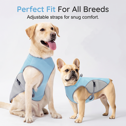 Zorveko Dog Cooling Vest Harness For Summer – perfect for walks, beach or travel 8