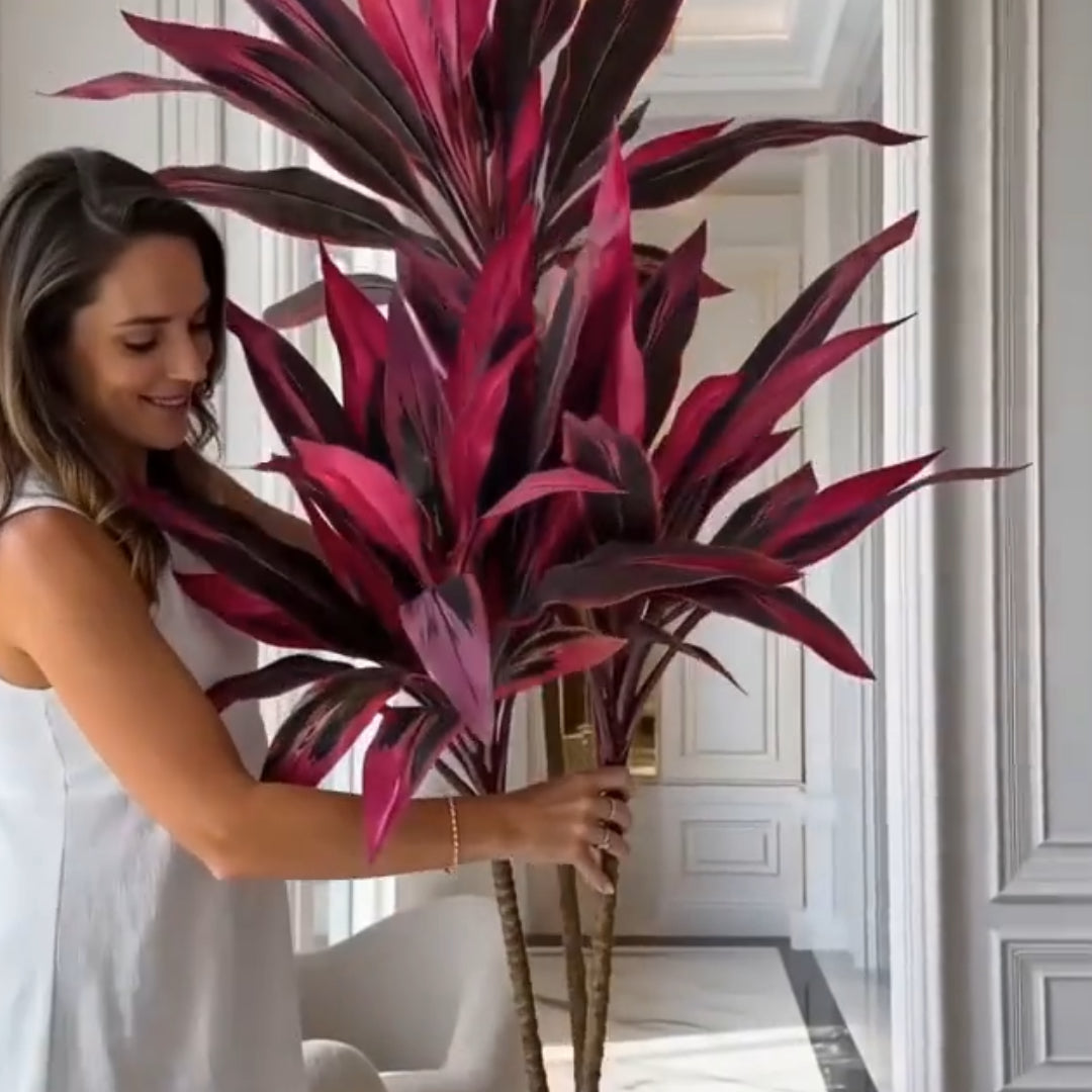 Zorveko 2Pcs Artificial Boston Fern & Dragon's Blood Tree Plants testimonials_HYFz9F:image:2