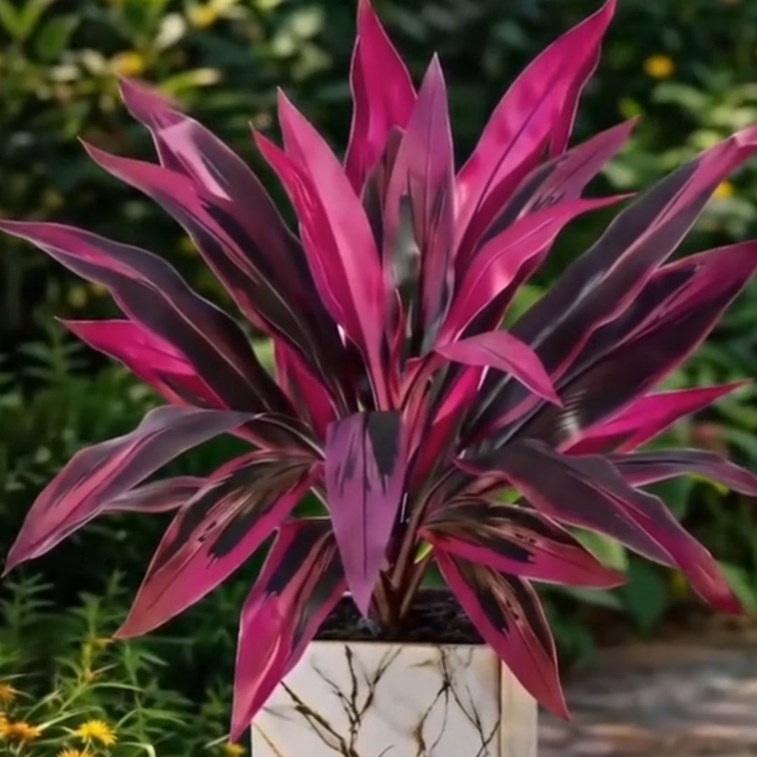 Zorveko 2Pcs Artificial Boston Fern & Dragon's Blood Tree Plants testimonials_HYFz9F:image:0