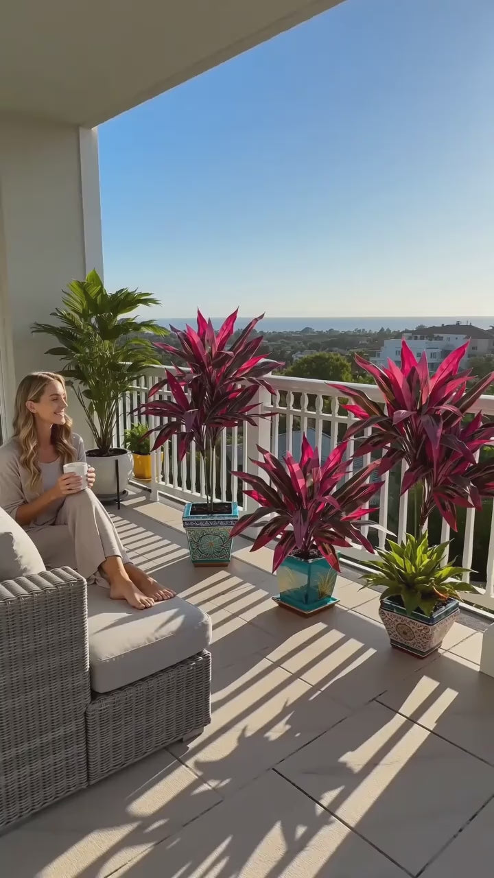Zorveko 2Pcs Large Artificial Boston Fern & Dragon’s Blood Tree Plants image_with_text_mDxXKe:image:0