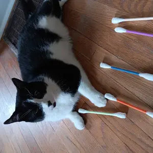 Zorveko 6 Pack Large Catnip Swab Interactive Toys for Indoor Cats testimonials_HYFz9F:image:1