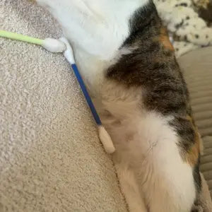 Zorveko 6 Pack Large Catnip Swab Interactive Toys for Indoor Cats testimonials_HYFz9F:image:2