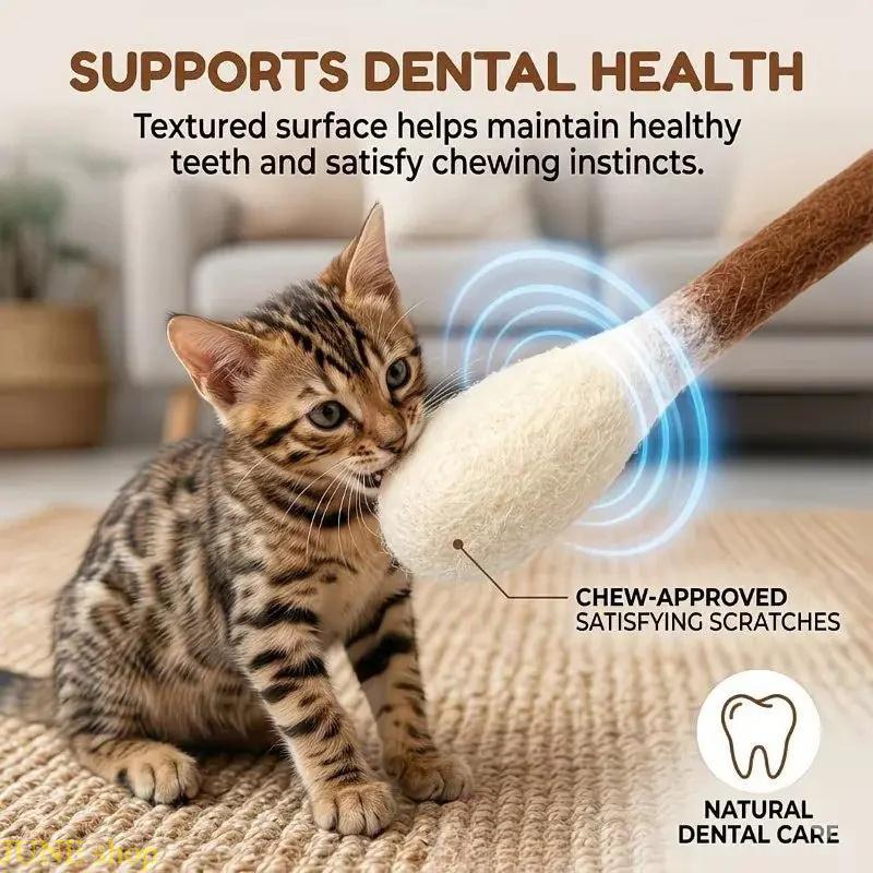 Zorveko 6 Pack Large Catnip Swab Interactive Toys for Indoor Cats image_with_text_PpWWqr:image:0