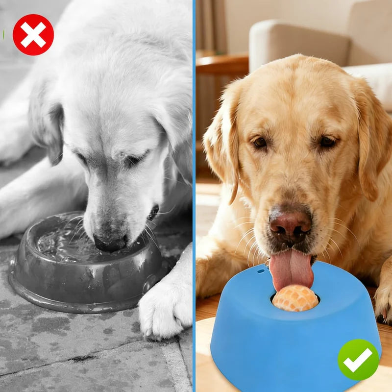 Zorveko Roll-N-Lick Dog Bowl: The Ultimate Liquid Treat Feeder feature_4