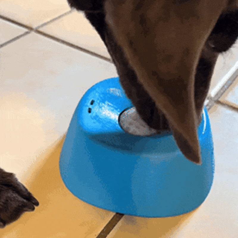 Zorveko Roll-N-Lick Dog Bowl: The Ultimate Liquid Treat Feeder feature_1
