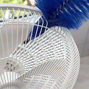 Zorveko The Ultimate Bendable Microfiber Dust Remover(3 Counts) image_with_text_mDxXKe:image:0