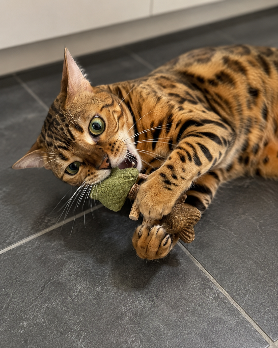 Zorveko Catnip & Silvervine Chew image_slider_biYJhD:image:3