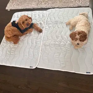 Zorveko Cooling Pet Mat For Summer testimonials_HYFz9F:image:2
