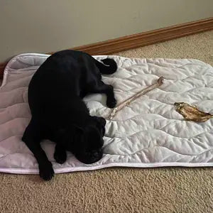 Zorveko Cooling Pet Mat For Summer testimonials_HYFz9F:image:1