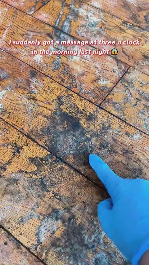 Zorveko Efficient Floor Cleaning Tablets: Multi-Surface Solution (Lemon Scent) image_with_text_mDxXKe:image:0