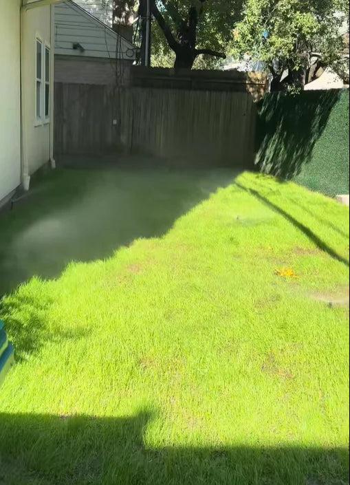 Zorveko Evergreen dwarf grass seed for four seasons testimonials_HYFz9F:image:1