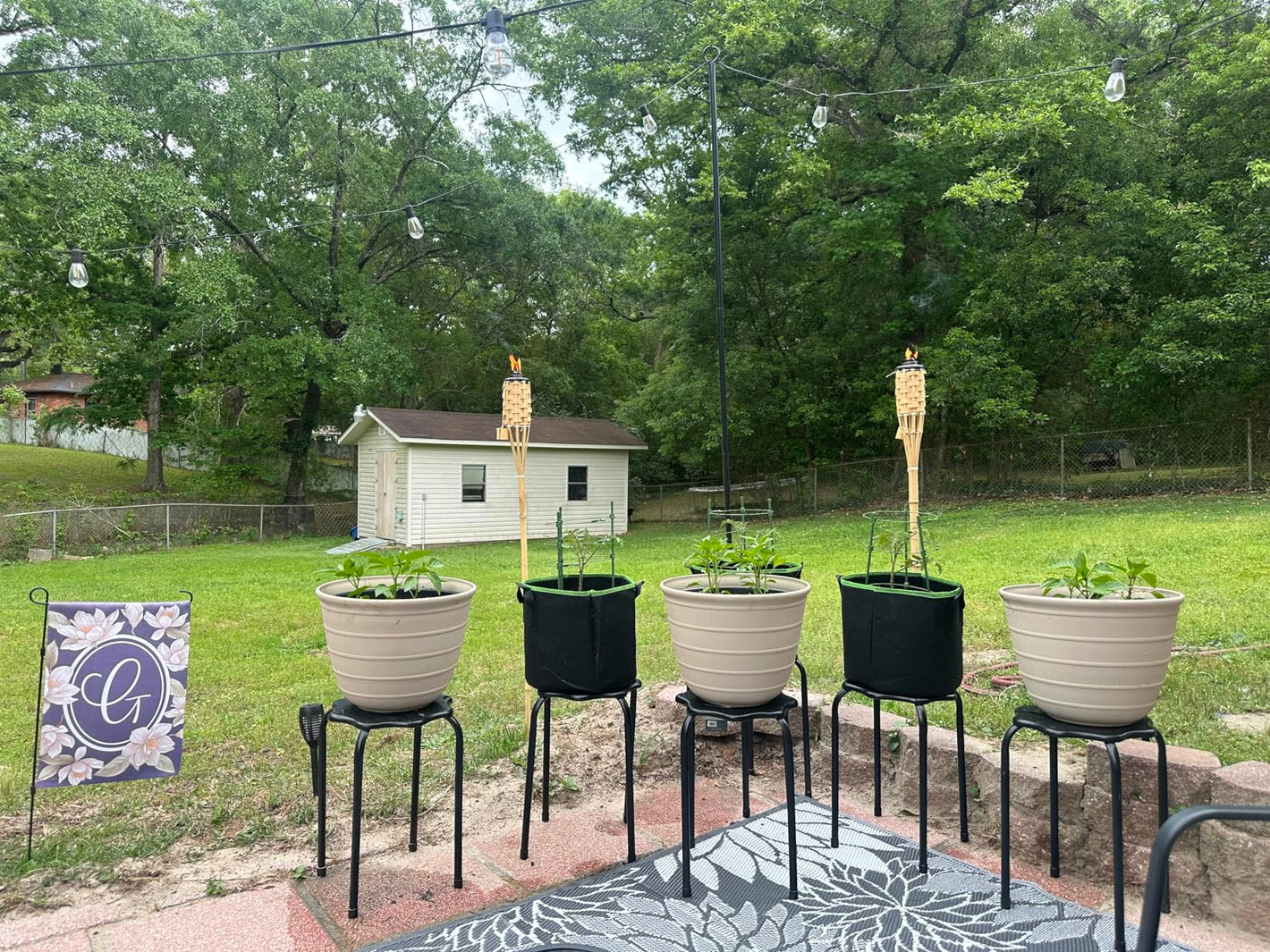 Zorveko 5-Pack 5 Gallon Grow Bags testimonials_HYFz9F:image:1