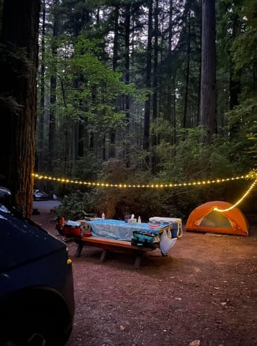 Zorveko Magnetic Camping String Lights With Power Bank testimonials_HYFz9F:image:0
