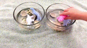Zorveko Magic Hatching Dinosaur Eggs: 12-Pack Growing Dino Easter Surprise image_with_text_6L7DaR:image:0
