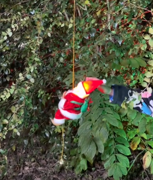 Zorveko Santa Claus Up-and-Down Climbing Christmas Decor – Moving Holiday Ornament testimonials_HYFz9F:image:0