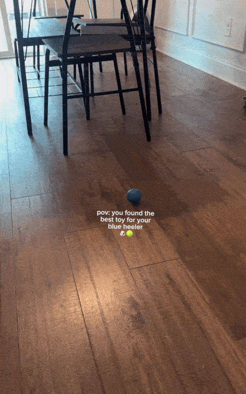 Zorveko Smart Interactive Bouncing Ball multicolumn_86nh4x:image:0