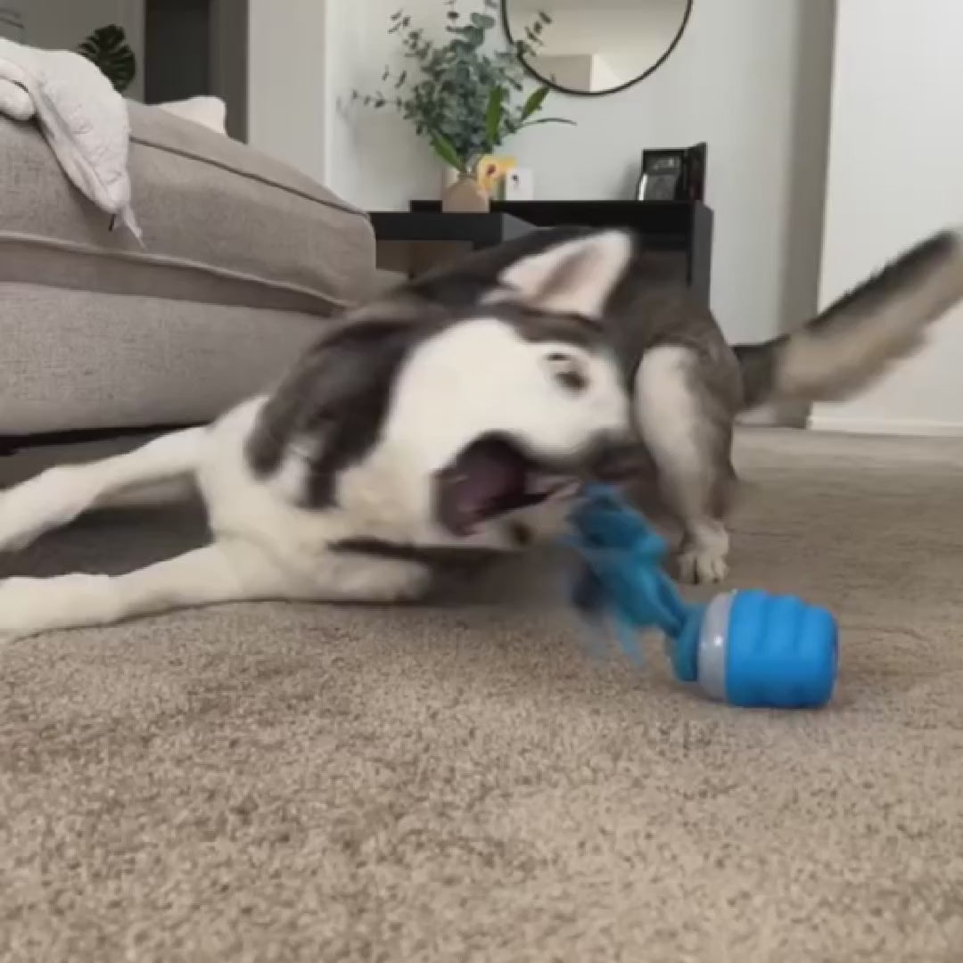 Zorveko Smart Dog Toy That Keeps Your Best Friend Company image_with_text_QwNQUL:image:0