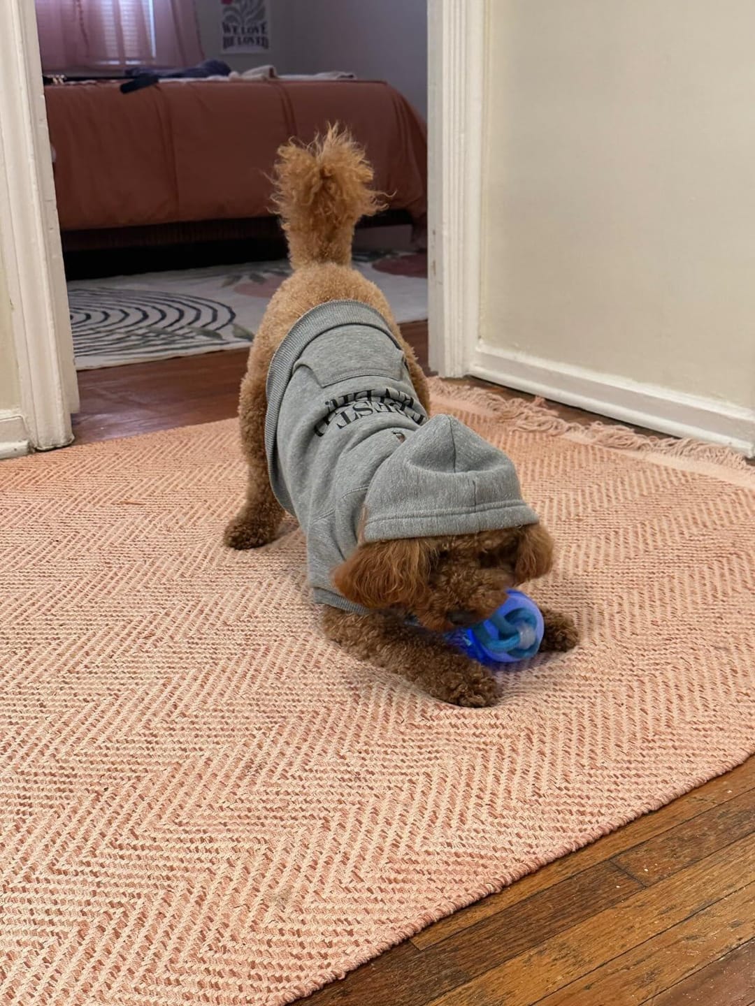 Zorveko Smart Dog Toy That Keeps Your Best Friend Company testimonials_HYFz9F:image:1
