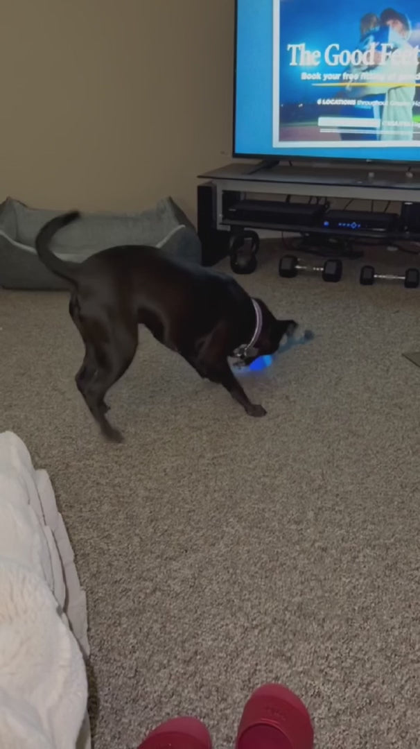 Zorveko Smart Dog Toy That Keeps Your Best Friend Company image_slider_biYJhD:image:2