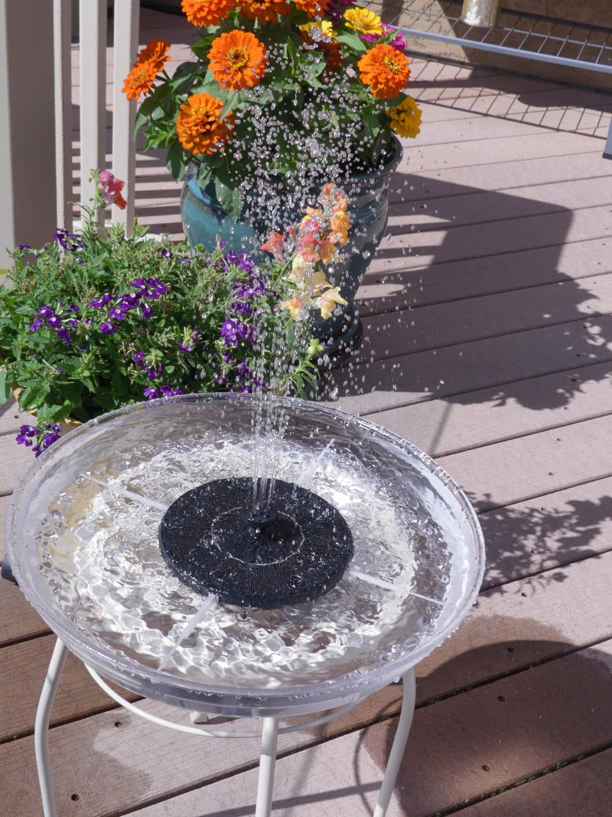 Zorveko 🌞 Solar Bird Bath Fountain Pump testimonials_HYFz9F:image:1