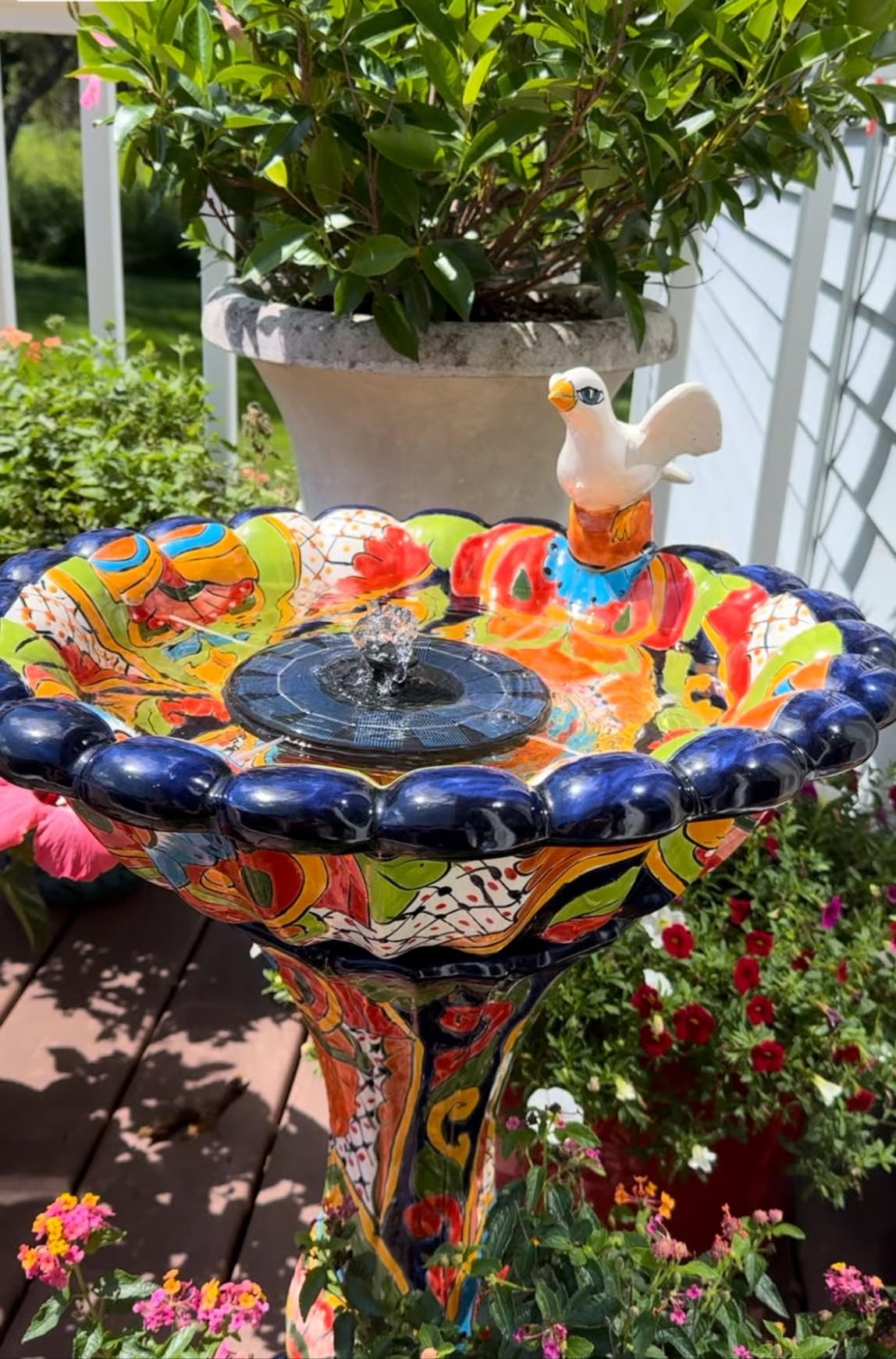 Zorveko 🌞 Solar Bird Bath Fountain Pump testimonials_HYFz9F:image:0