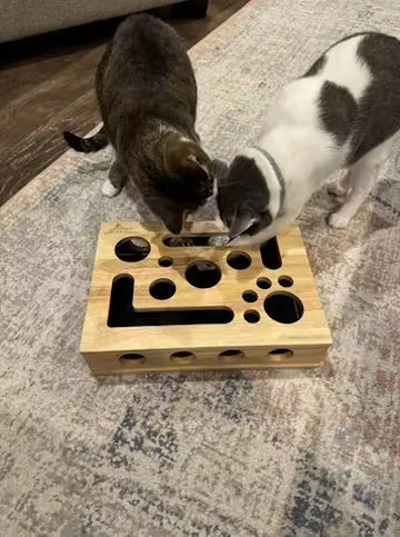 Zorveko Scratch & Treat Cat Toy testimonials_HYFz9F:image:0