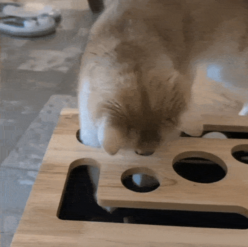 Zorveko Scratch & Treat Cat Toy image_with_text_6L7DaR:image:0