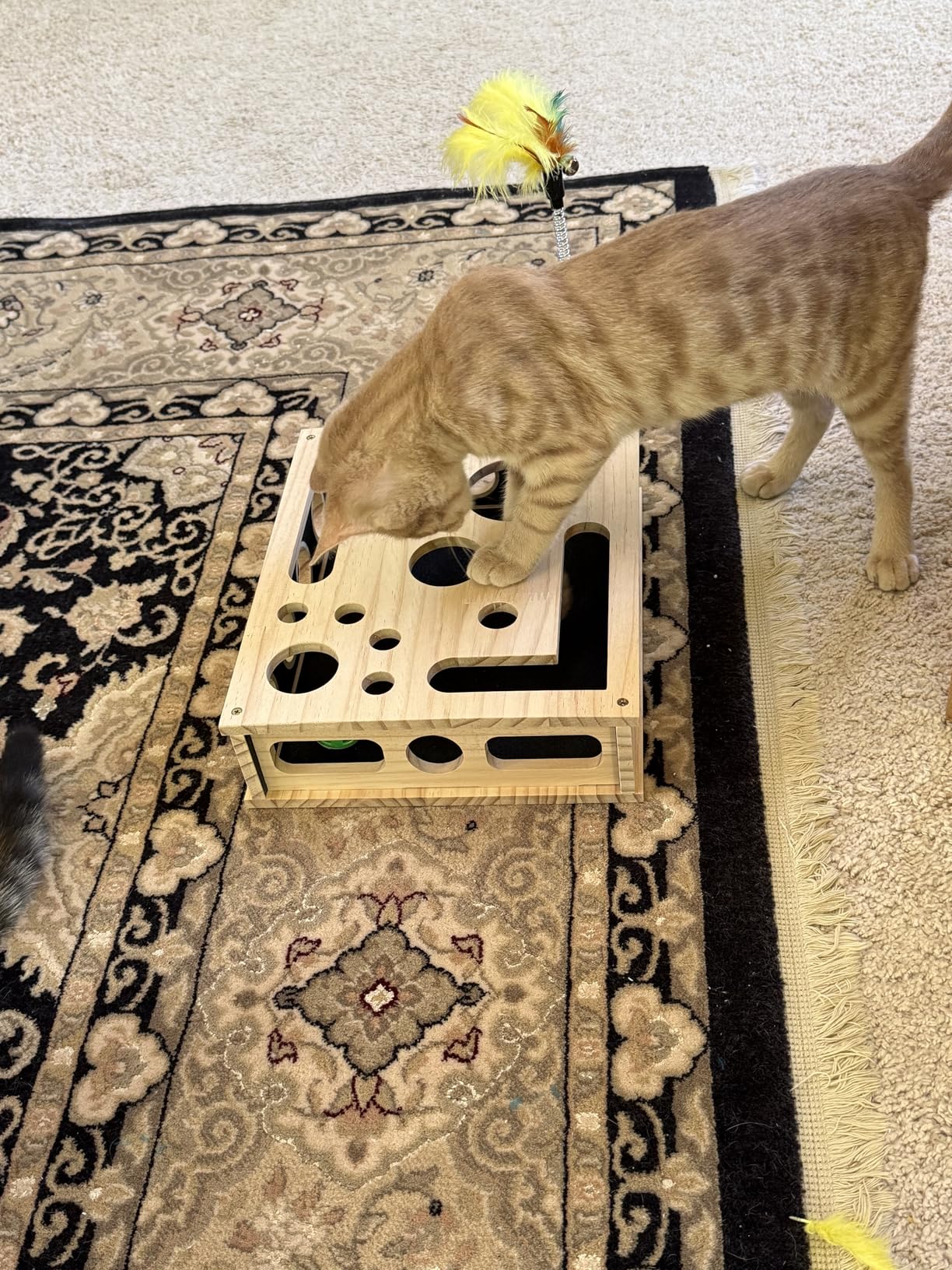 Zorveko Scratch & Treat Cat Toy testimonials_HYFz9F:image:2