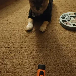 Zorveko Ultrasonic Dog Bark Deterrent Device – Humane & Effective Dog Repeller testimonials_HYFz9F:image:0